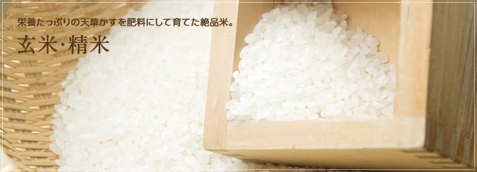 玄米・精米